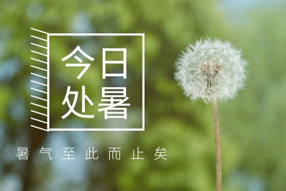 【衡陽(yáng)通用電纜】處暑不是暑，秋涼知我意